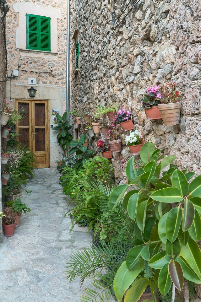 Valldemosa014.jpg