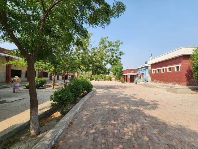 1000367159.jpg