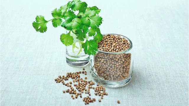 coriander-cilantro-seeds-herb-1296x728-header-1296x728.jpg