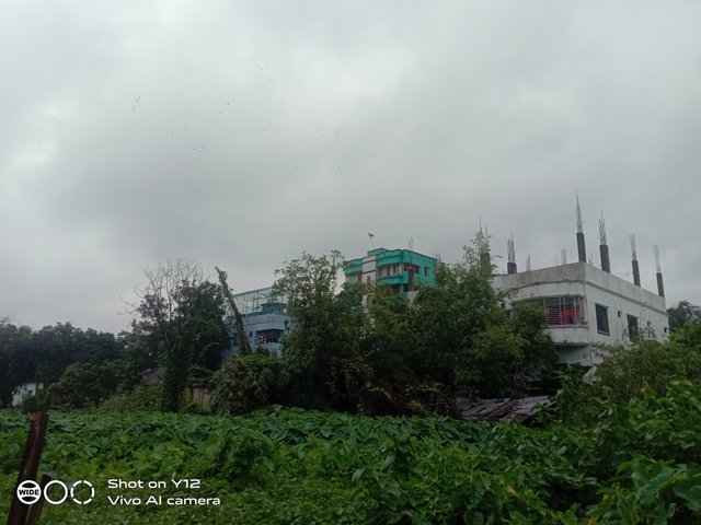 IMG_20250709_145205.jpg