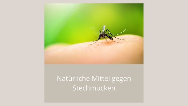 Natürliche Mittel gegen Stechmücken web.jpg