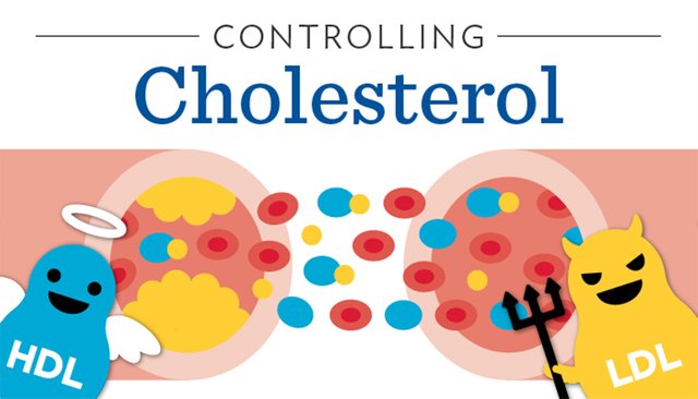 Cholesterol Controls.jpg