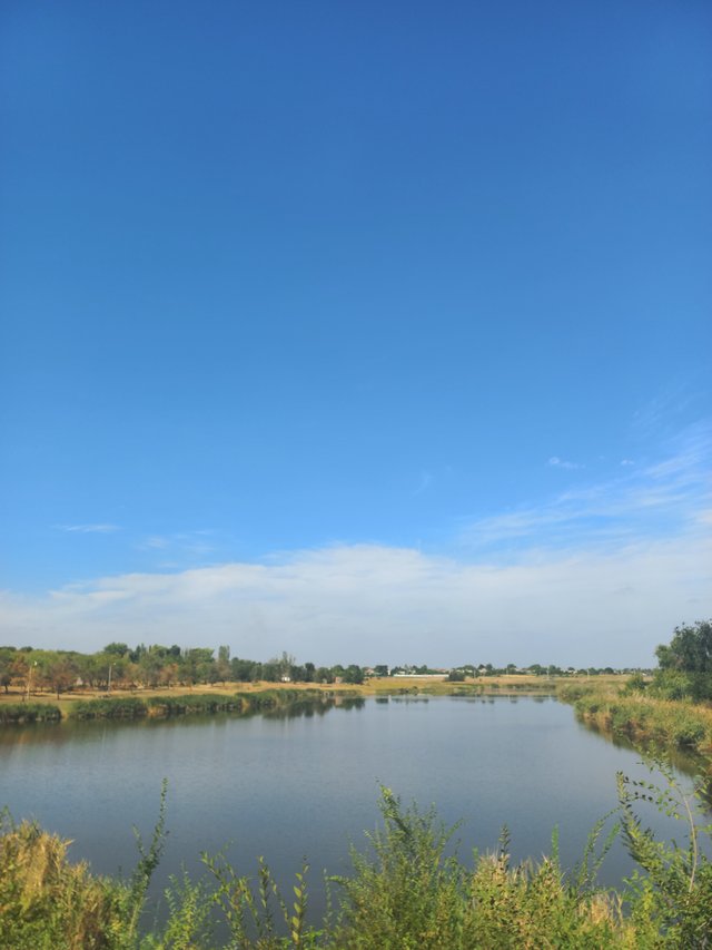 20250820_103712.jpg