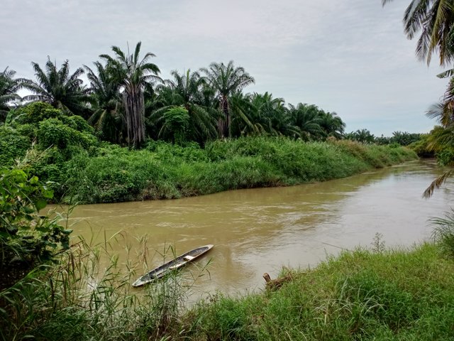 IMG20250524110707.jpg