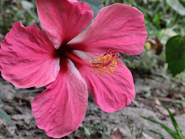 IMG_20250319_170607.jpg