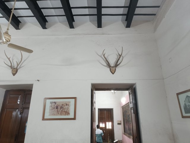 IMG20250211151939.jpg