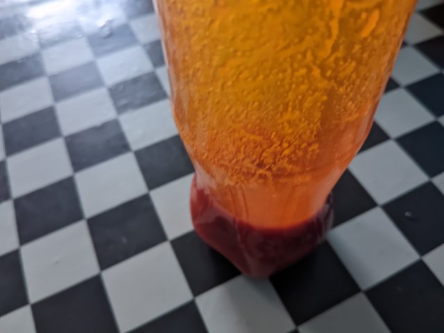 1000592056.jpg