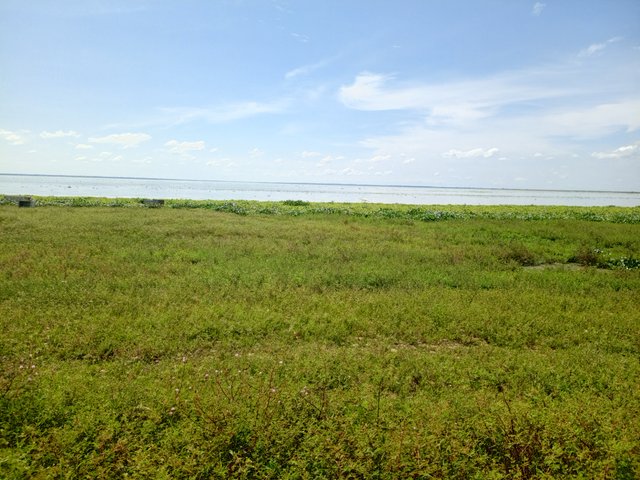 IMG_20251005_101823_006.jpg