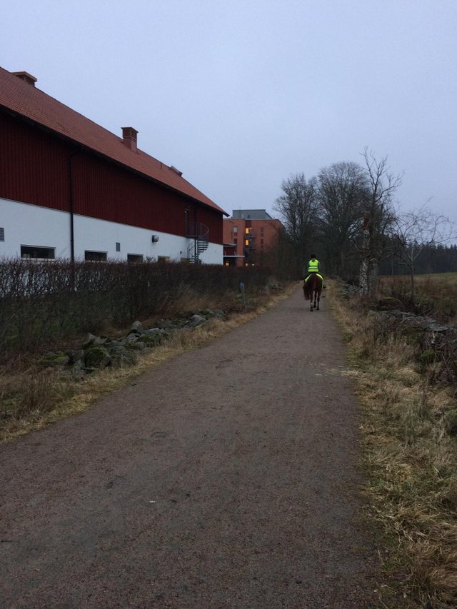 IMG-20191230-WA0004.jpg