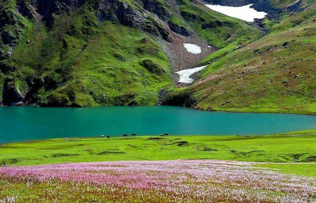 Deosai Lake gilgit Pakistan. At a height of around 13000ft..jpg