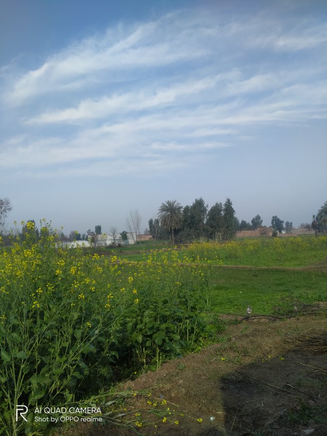 IMG20220128100400.jpg