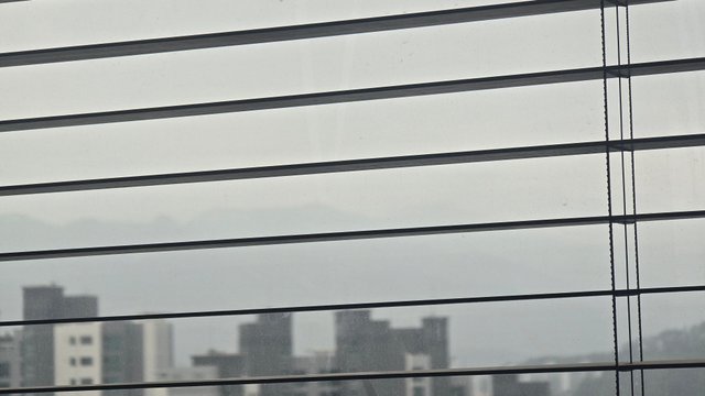 1000129480.jpg