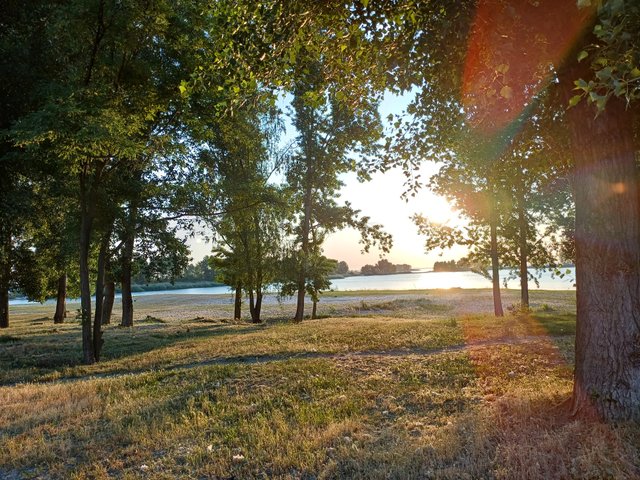 20250609_053816.jpg
