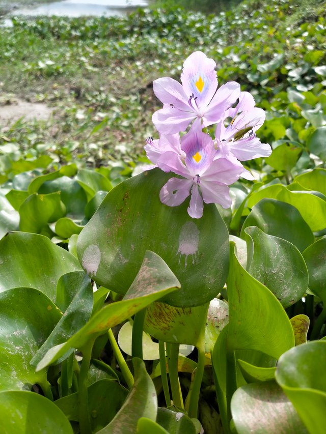 IMG20251001102134.jp