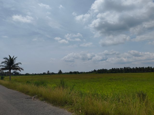 1000071165.jpg