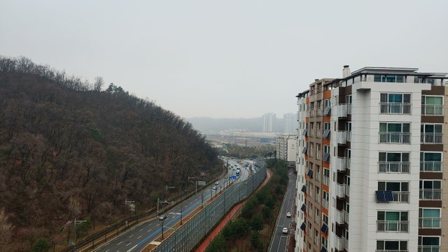 20210328_135852.jpg