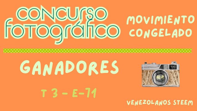 Concurso fotográfico (47).jpg