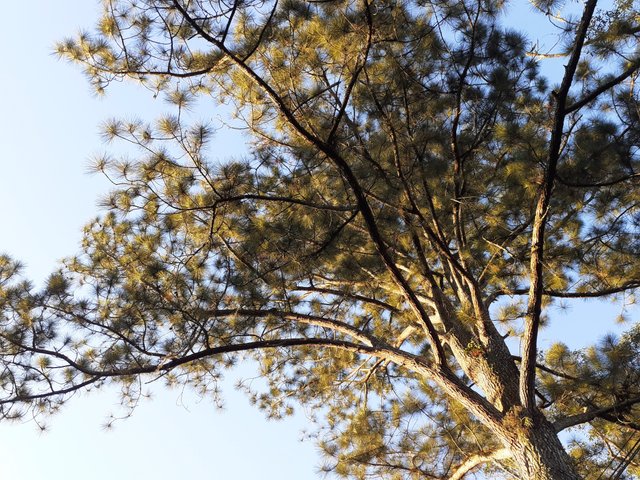 20241214_174636.jpg