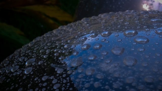 IMG_20250908_095546_089.jpg
