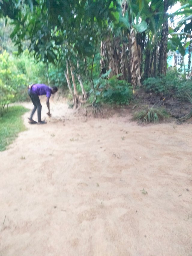 IMG20250808073300.jpg