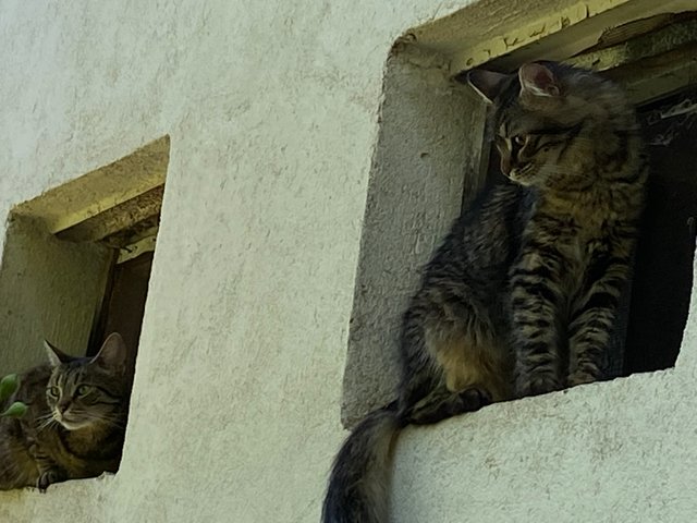 IMG1856.JPG