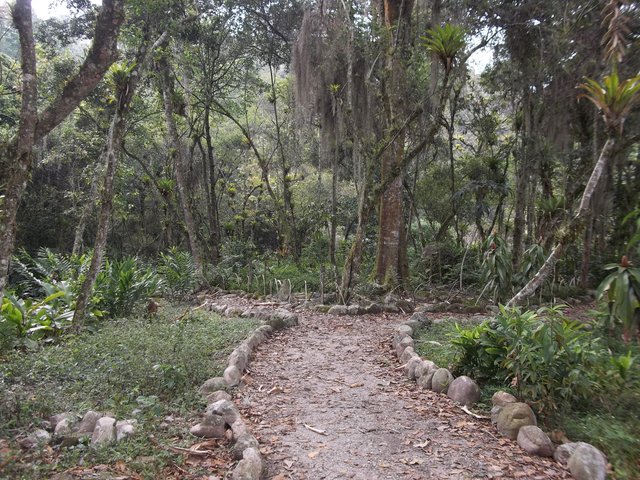 Botanico 029.JPG