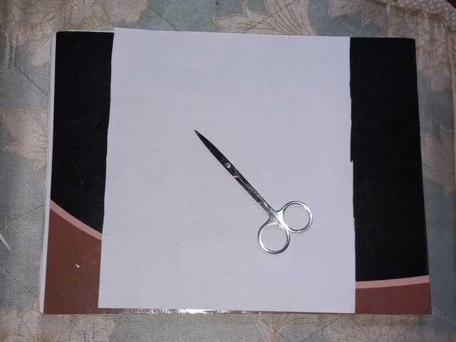 20250425_092307.jpg