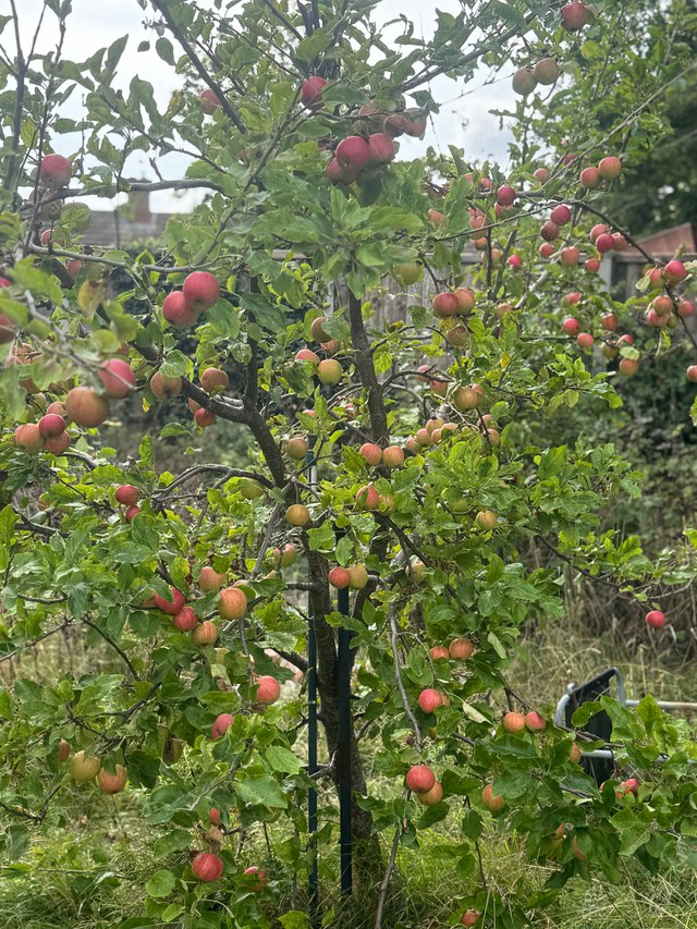 IMG_0467.jpeg