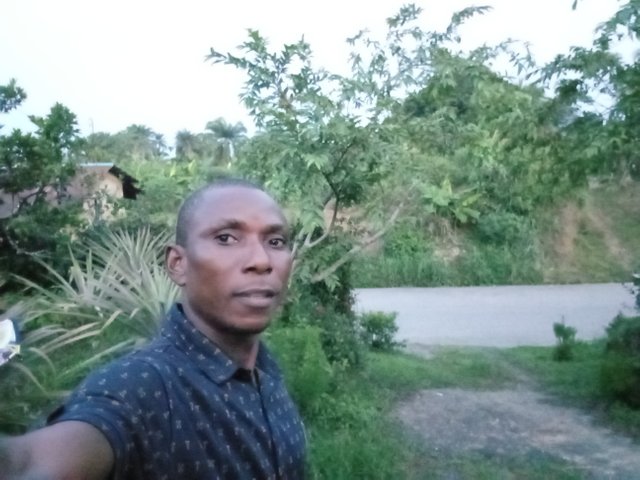 1000033085.jpg