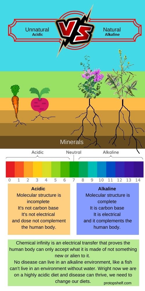 Unnatural VS Natural Plants.jpg