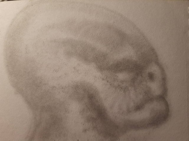 20250604_105539.jpg