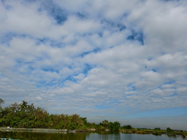 IMG_20250331_081628.jpg