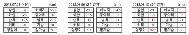 사이즈 3주차.JPG