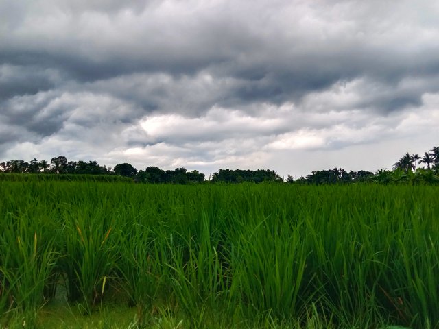 IMG_20250917_200039.jpg