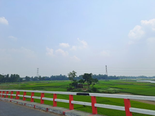 20250503_125723.jpg