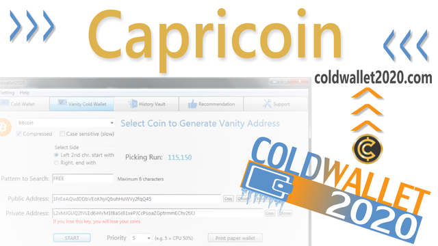 Capricoincoldwallet.png