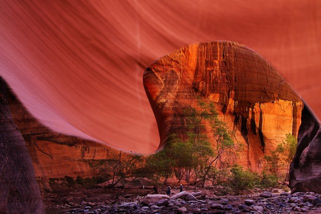 Pixabay - Zion - red-rocks-2315718_1920.jpg