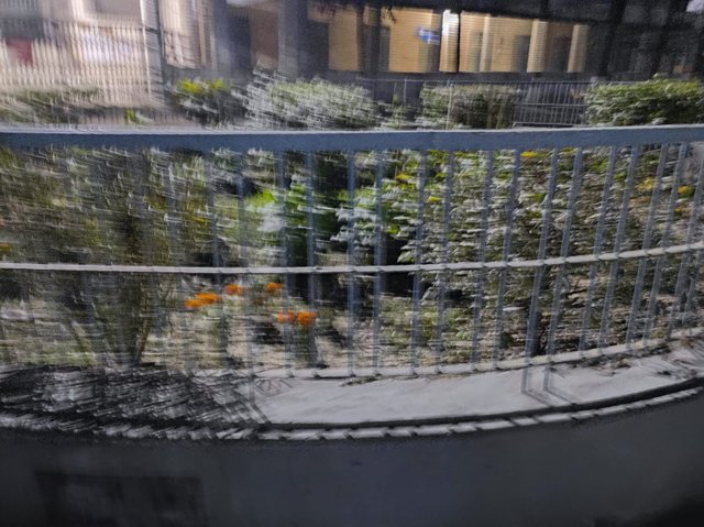 1000026683.jpg