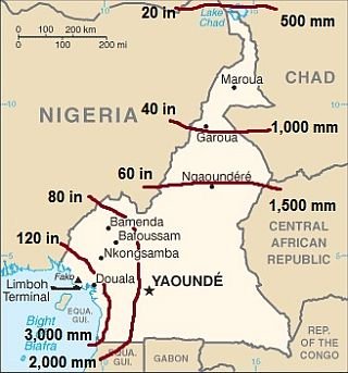 Precipitation-cameroon.jpg