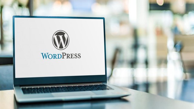 WordPress Business In 2023.jpg