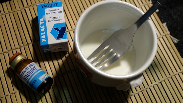 homemade-cultured-yogurt-2.jpg