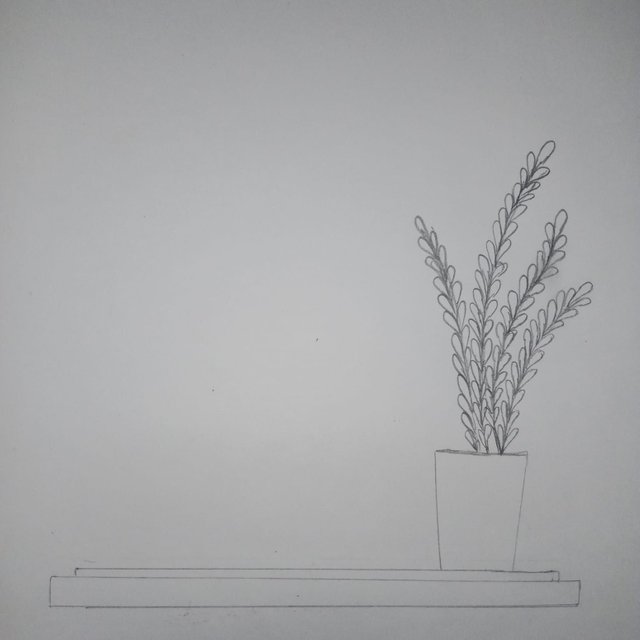 1000067739.jpg