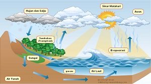 Materi Siklus Hidrologi Tertutup dan Terbuka.jpg