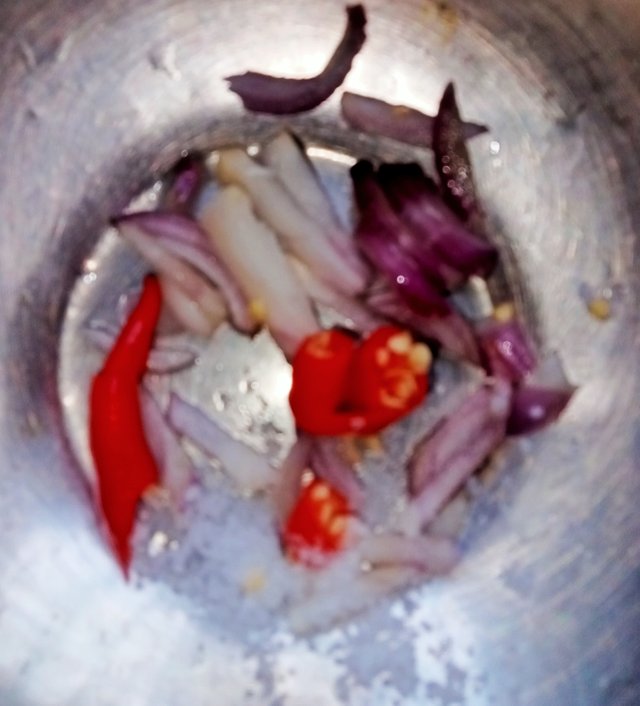IMG_20250509_114448.jpg