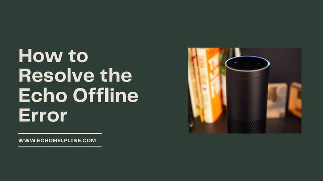 How to Resolve the Echo Offline Error.jpg