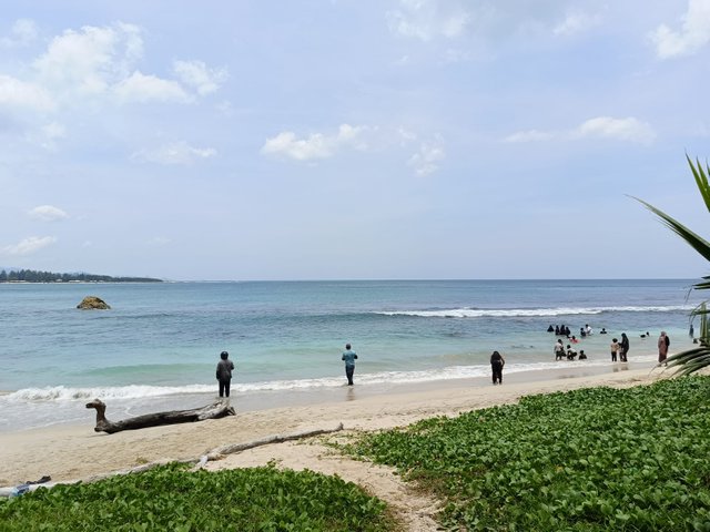 IMG20240413111855.jpeg