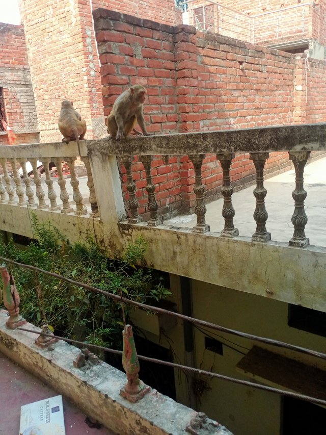 IMG20250520152425.jpg