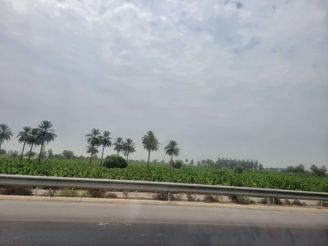 20250615_101436.jpg