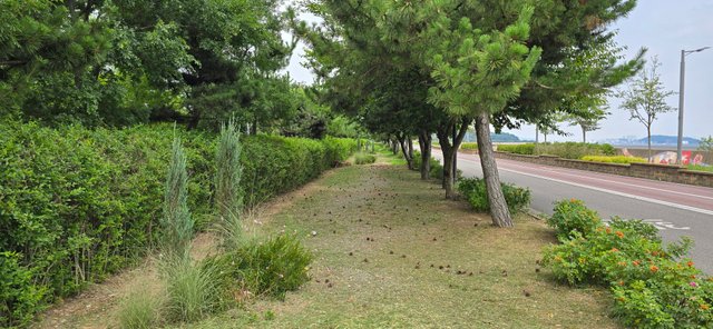 KakaoTalk_20250912_223825047_09.jpg