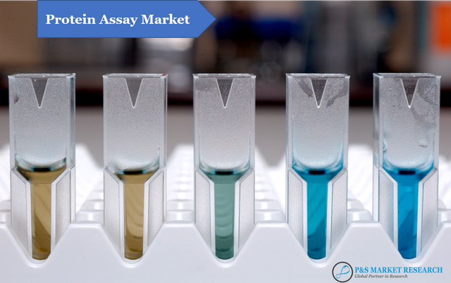 Protein Assay Markett.png